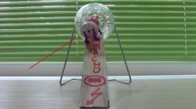 Самая гуманная мышеловка в мире