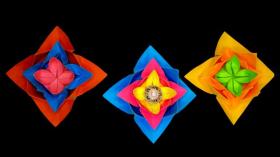 Объёмные цветы из бумаги