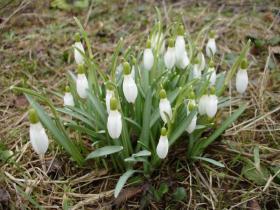 С первым днём Весны!